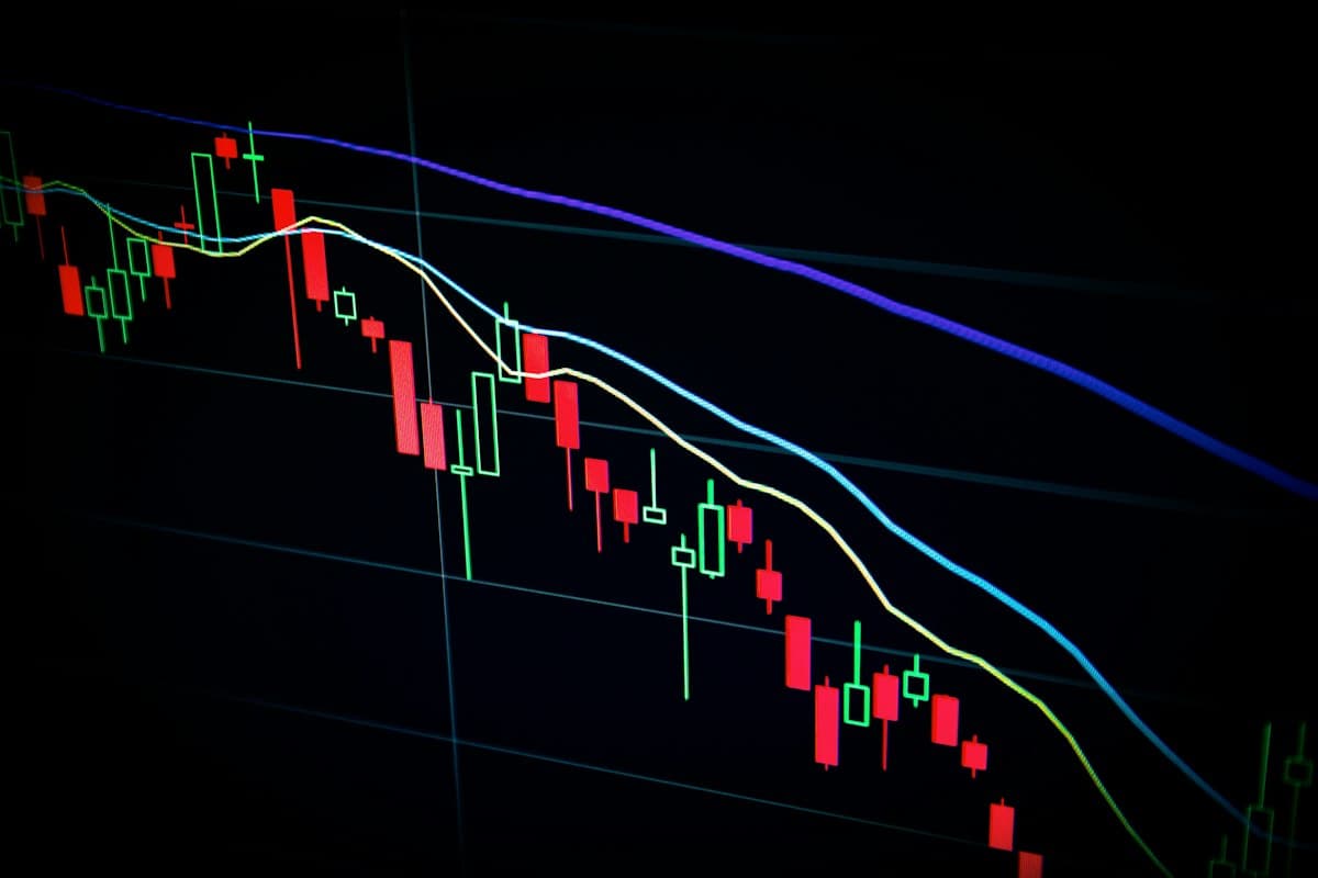 Investment charts and analytics