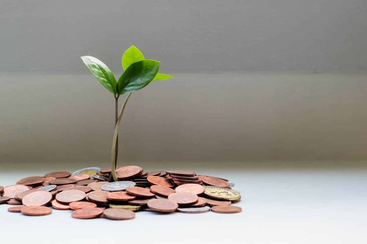 Savings and growth concept imagery